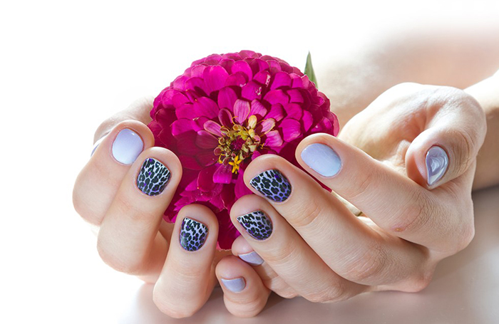 百美汇技能培训