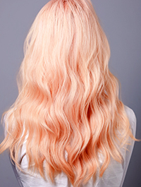 百美汇技能培训