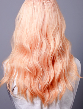 百美汇技能培训