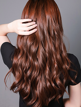 百美汇技能培训